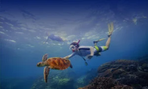 location palmes masque tuba la ciotat