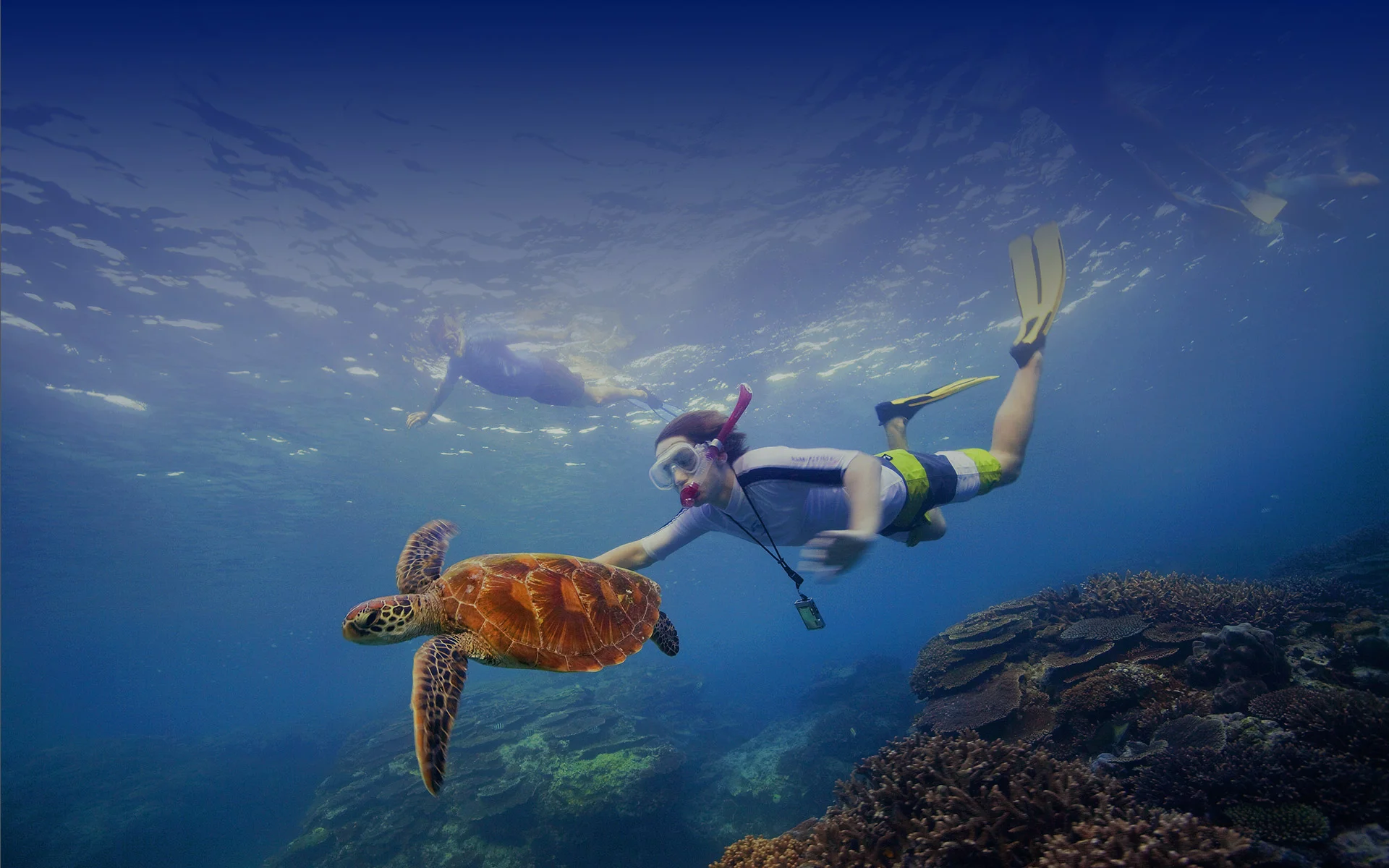 location palmes masque tuba la ciotat