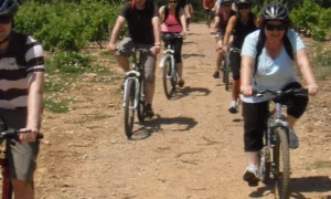 Escapades VTT - Demi Journée