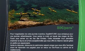Journée Incentive en Kayak Archipel des Embiez