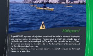 Journée Incentive Kayak Vieux Port Archipel du Frioul