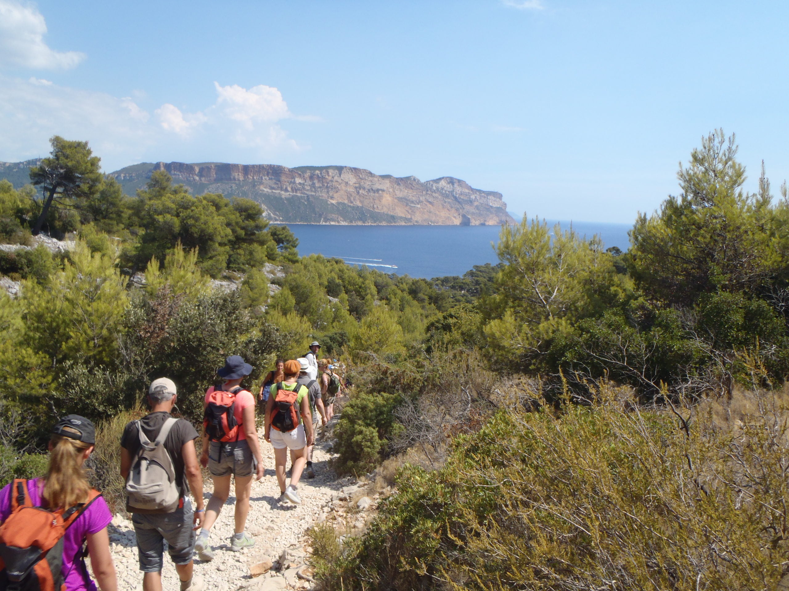 Randonnée provence et calanques guide privé - ExpéNature