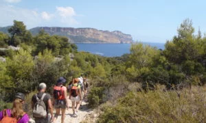 randonnée trek calanques provence visite guidée