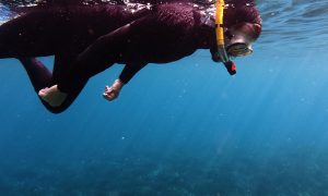 randonnée palmée snorkeling mugel la ciotat