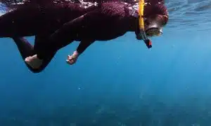 randonnée palmée snorkeling mugel la ciotat