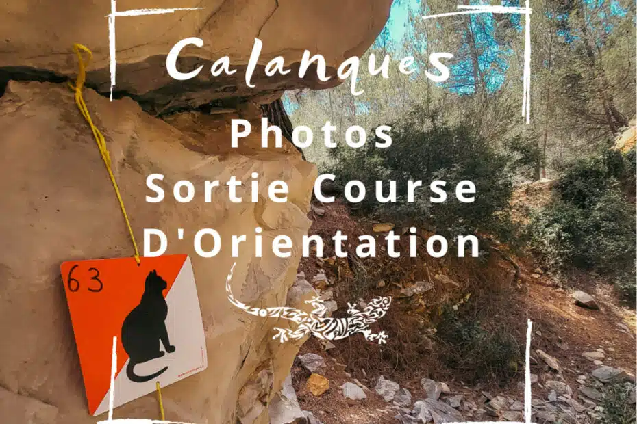 balise de course d'orientation dans le parc national des calanques