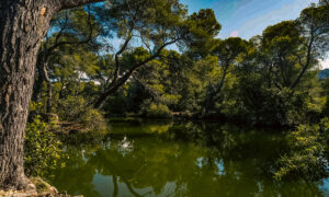 course d'orientation Campagne Pastré de Marseille, vu magnifique sur le petit lac du parc Marseillais, accès au touriste toute l'année