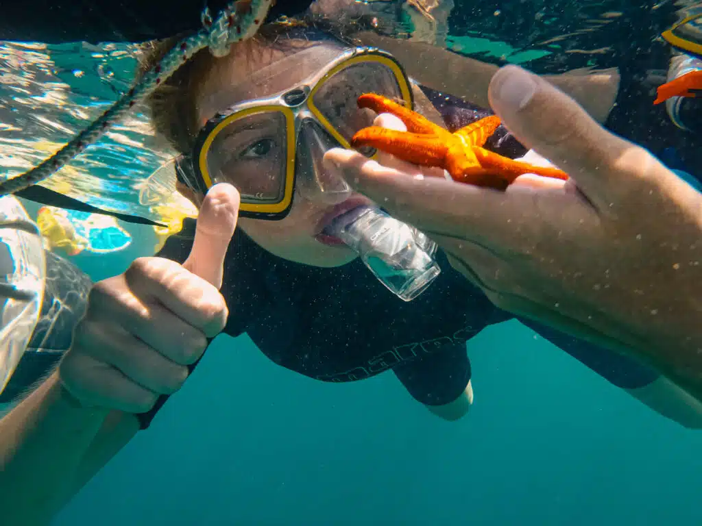 snorkeling étoile de mer sous l'eau avec une jeune fille de colonie de vacances lors d'une expédition avec Expénature dans les calanques