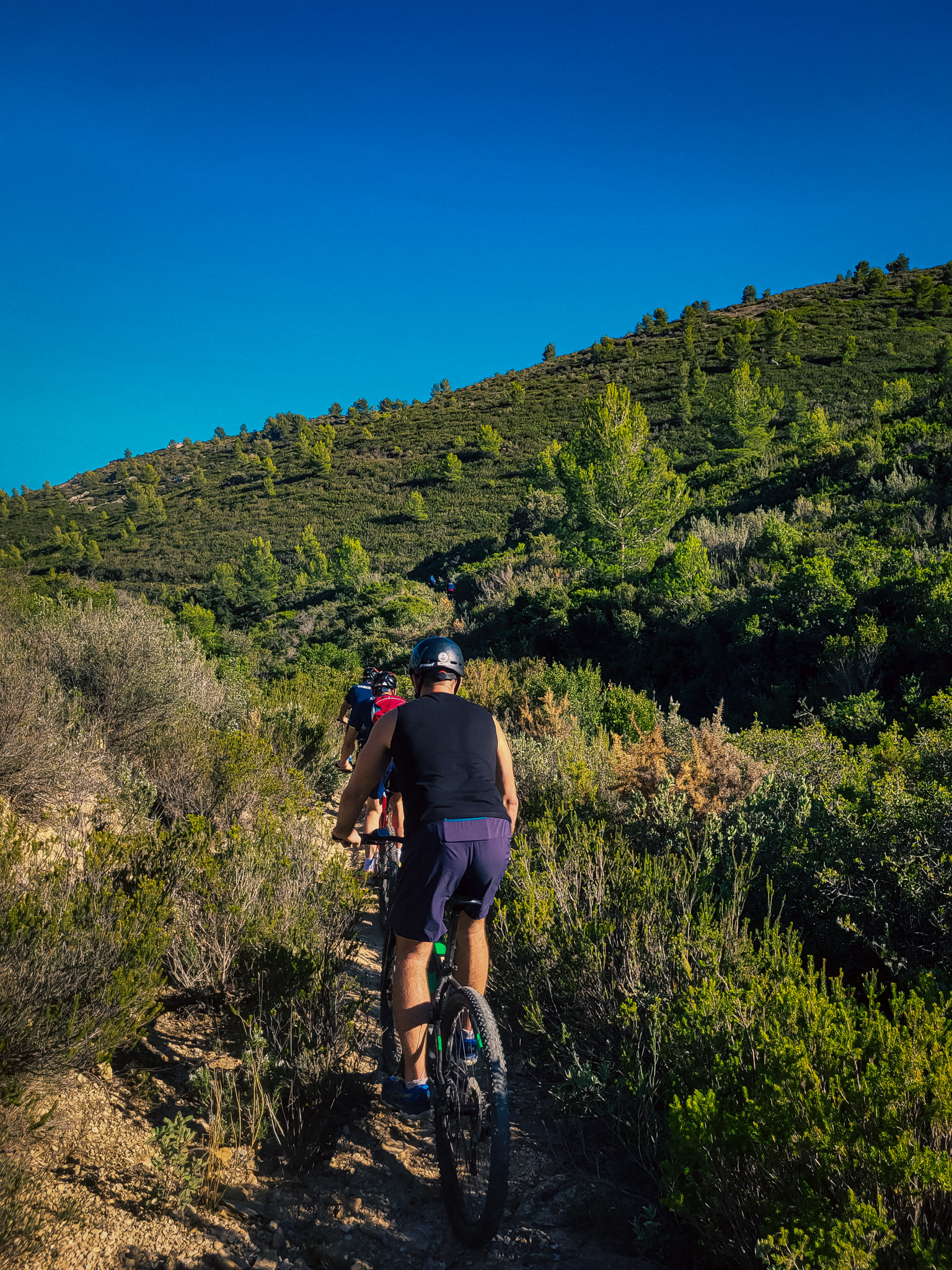 exploration de la nature dans les collines et les calanques de la ciotat et de cassis en vélo, vtt et vtt électrique aussi appelé voutain bike en séminaires d'entreprise VTT embiez