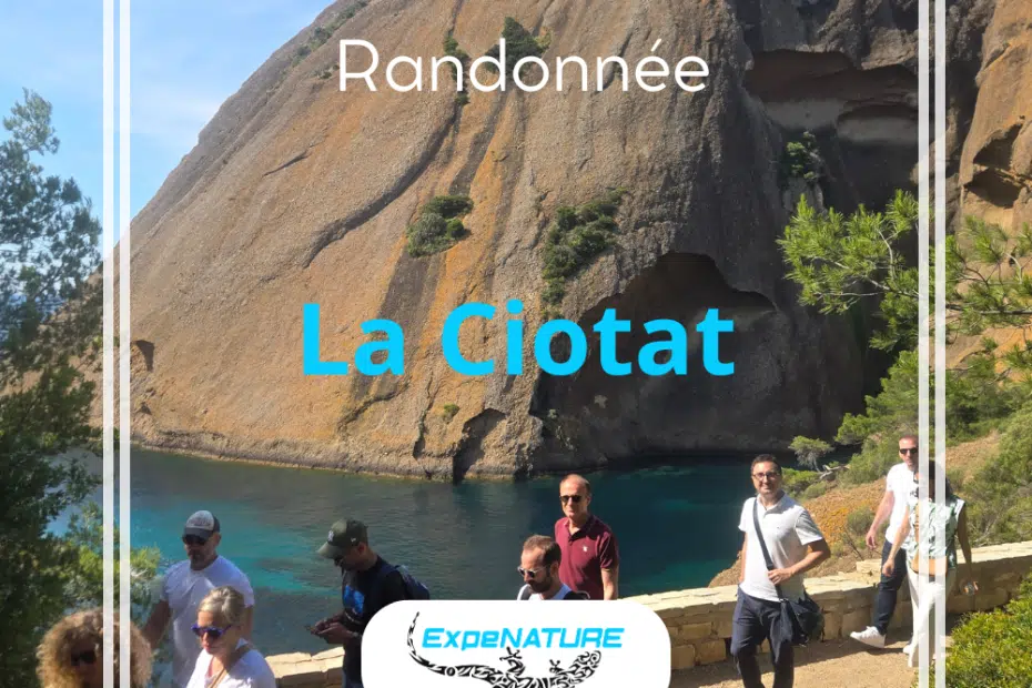 randonnée parc national calanques mugel figuerolles la ciotat bec de l'aigle guide experimenté