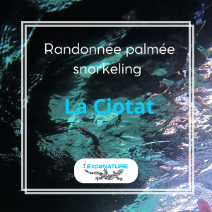 randonnée palmée mugel zone natura 2000 écologique snorkeling fond marins enfant