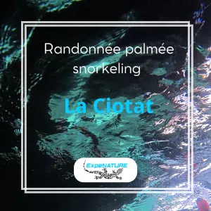 randonnée palmée mugel zone natura 2000 écologique snorkeling fond marins enfant