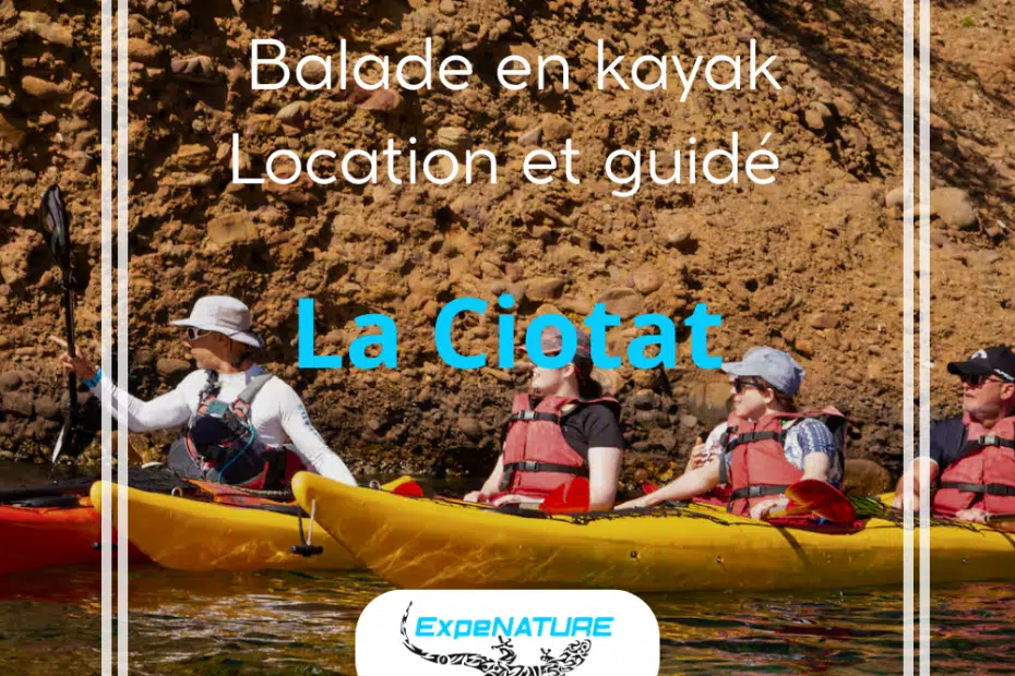 kayak ciotat canoe marseille calanques provence avec guide bec de l'aigle anse du mugel