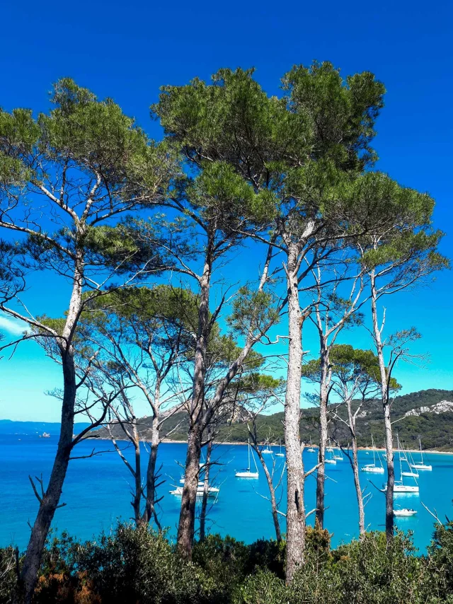 chasse au trésor orientation team building avec expenature porquerolles