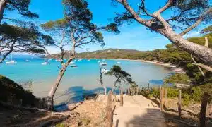 randonnée porquerolles balade tour à pieds de l'île chemin team building
