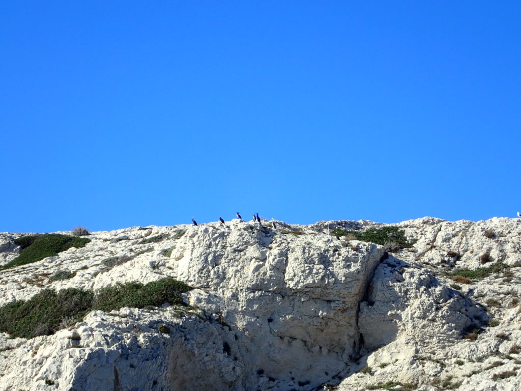 îles du frioul expenature randonnée aventure naturaliste