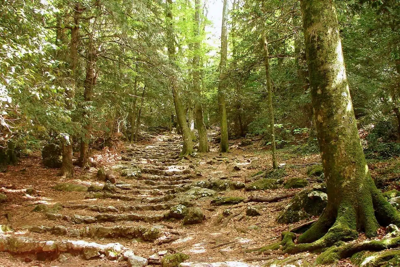 randonnée nature et botanique randonnée hors sentiers battus randonnée guidée originale immersion nature Provence découverte flore et géologie randonnée familiale guidée