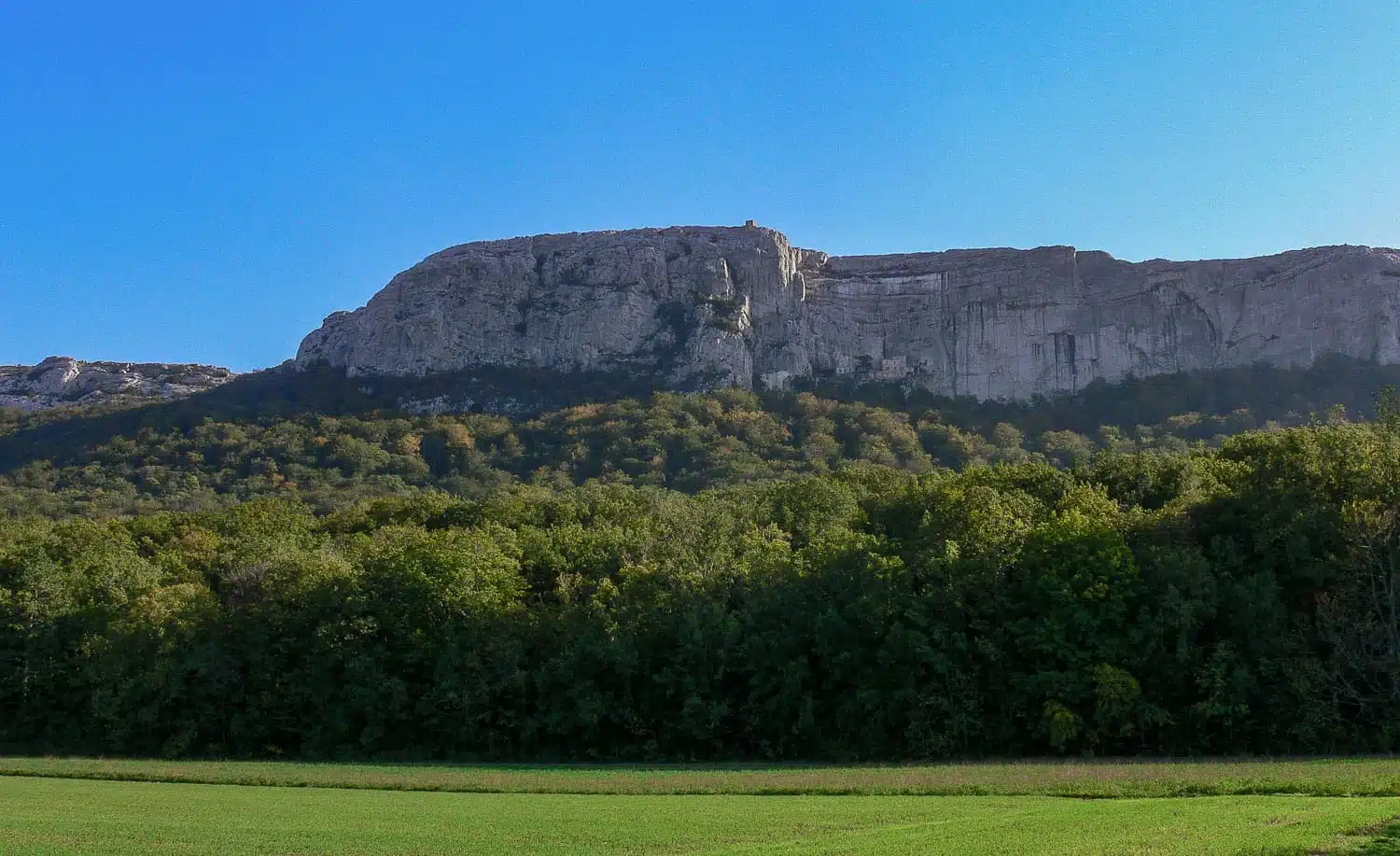 randonnée nature et botanique randonnée hors sentiers battus randonnée guidée originale immersion nature Provence découverte flore et géologie randonnée familiale guidée