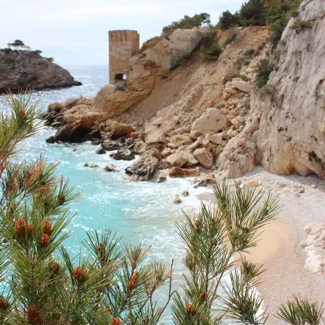 activité de groupe Côte-Bleue randonnée demi-journée Côte-Bleue randonnée journée complète Côte-Bleue randonnées accessibles Marseille et Côte-Bleue randonnée familiale Côte-Bleue
